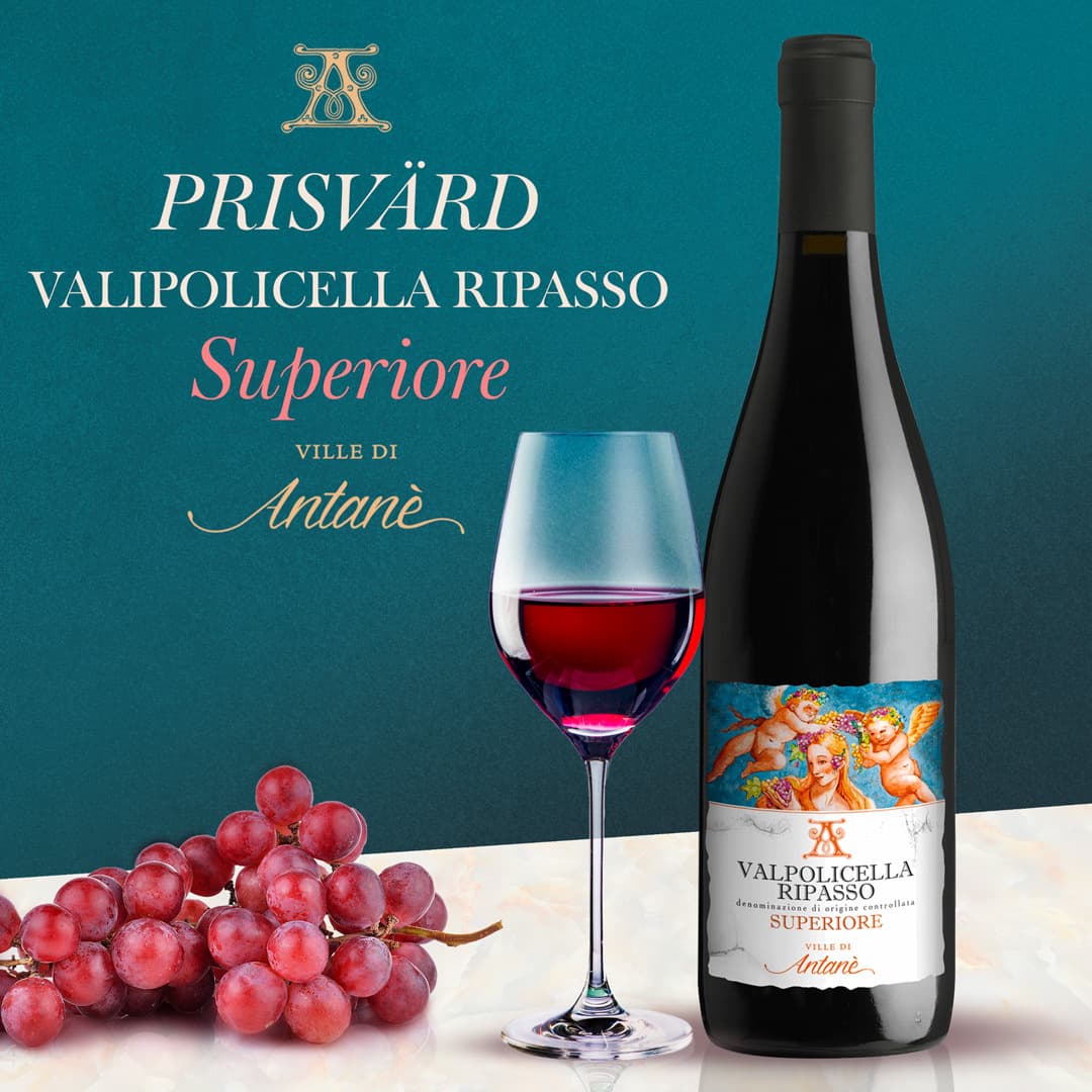 Le Ville di Antanè Valpolicella Ripasso Superiore Le Ville di Antanè Valpolicella Ripasso Superiore
