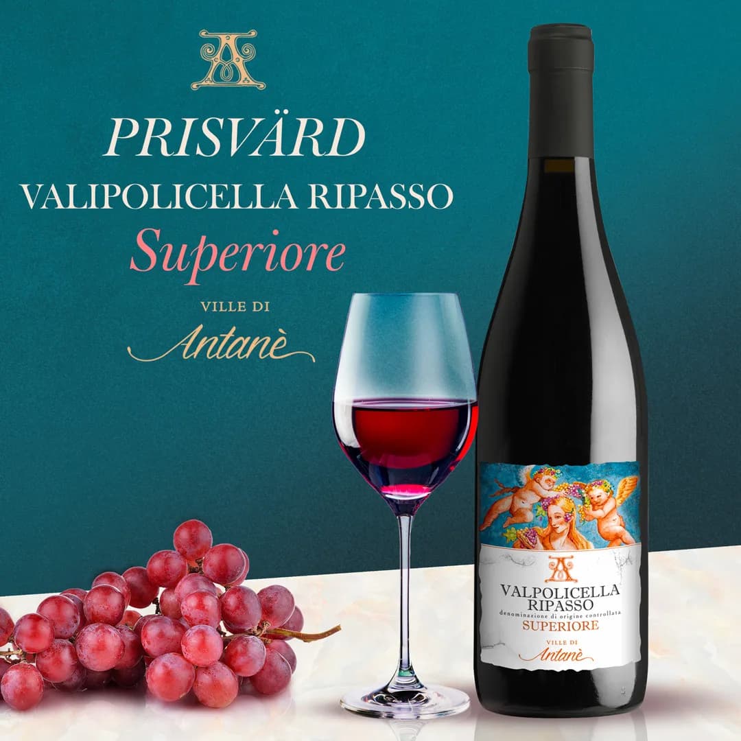 Le Ville di Antanè Valpolicella Ripasso Superiore Le Ville di Antanè Valpolicella Ripasso Superiore